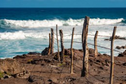 Barbed Driftwood - Office Wall Art - Oceans Beaches Harbors