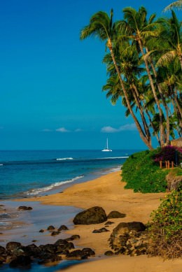 Kaanapali - Office Wall Art - Oceans Beaches Harbors