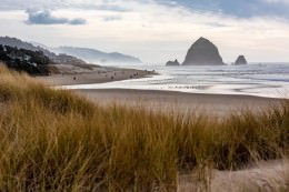 Dunes - Office Wall Art - Pacific Nothwest