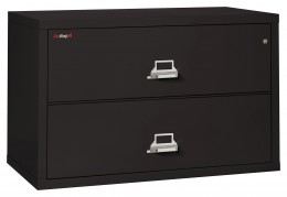 2 Drawer Lateral Fireproof File Cabinet - 45" Wide - Classic