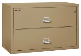 2 Drawer Lateral Fireproof File Cabinet - 45" Wide - Classic