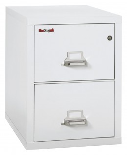 2 Drawer Vertical Fireproof File Cabinet - 18