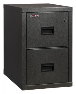 2 Drawer Fireproof File Cabinet - Legal & Letter Size - Turtle