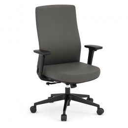 Office Chair with Lumbar Support - Apex