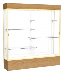 Large Display Case with Lighting - 72" x 80" - Reliant