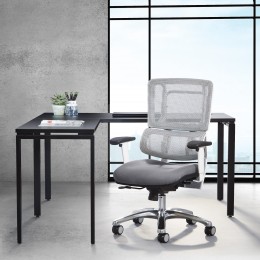 Ergonomic Task Chair with Lumbar Support - Pro Line II