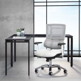 Ergonomic Task Chair with Lumbar Support - Pro Line II