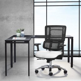 Ergonomic Office Chair with Lumbar Support - Pro Line II