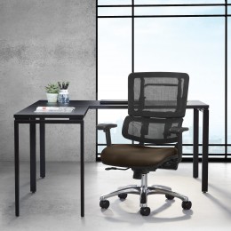 Ergonomic Office Chair with Lumbar Support - Pro Line II