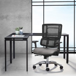 Ergonomic Office Chair with Lumbar Support - Pro Line II