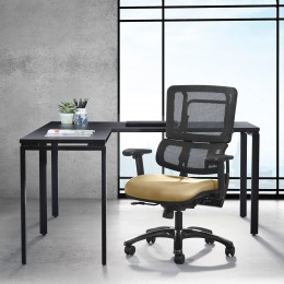 Task Chair with Lumbar Support - Pro Line II