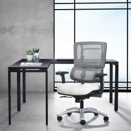 Mesh Task Chair with Lumbar Support - Pro Line II