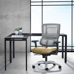 Mesh Task Chair with Lumbar Support - Pro Line II