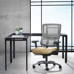 Tall Ergonomic Office Chair - Pro Line II