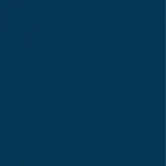 Coastal Navy Color